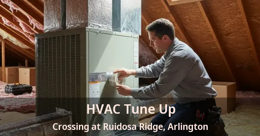 HVAC Tune Up Crossing at Ruidosa Ridge, Arlington - TX