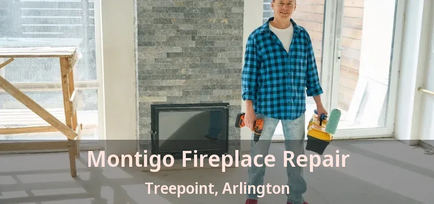Montigo Fireplace Repair Treepoint, Arlington - TX Montigo Fireplace Repair Treepoint, Arlington - TX