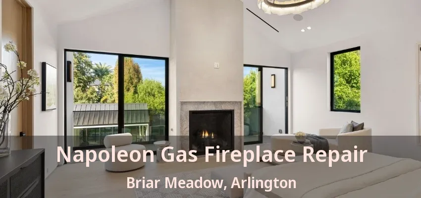 Napoleon Gas Fireplace Repair Briar Meadow, Arlington - TX