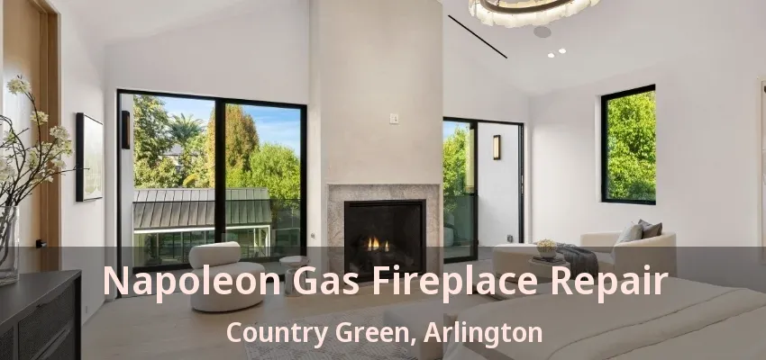 Napoleon Gas Fireplace Repair Country Green, Arlington - TX