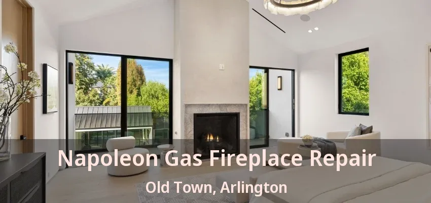 Napoleon Gas Fireplace Repair Old Town, Arlington - TX