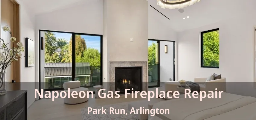 Napoleon Gas Fireplace Repair Park Run, Arlington - TX
