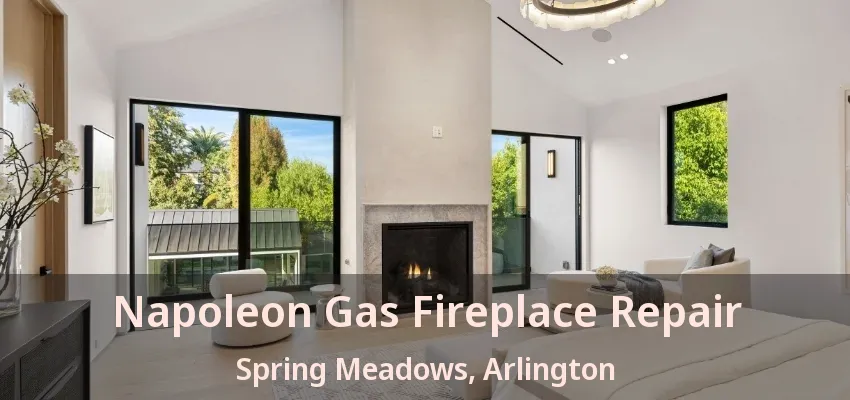 Napoleon Gas Fireplace Repair Spring Meadows, Arlington - TX