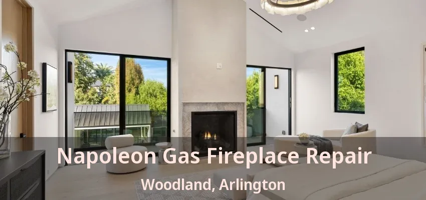 Napoleon Gas Fireplace Repair Woodland, Arlington - TX