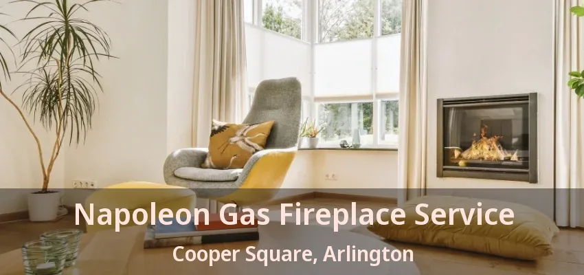Napoleon Gas Fireplace Service Cooper Square, Arlington - TX