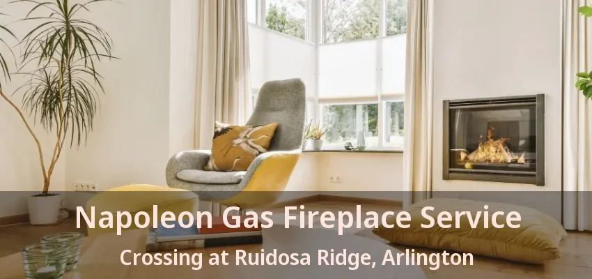 Napoleon Gas Fireplace Service Crossing at Ruidosa Ridge, Arlington - TX Napoleon Gas Fireplace Service Crossing at Ruidosa Ridge, Arlington - TX