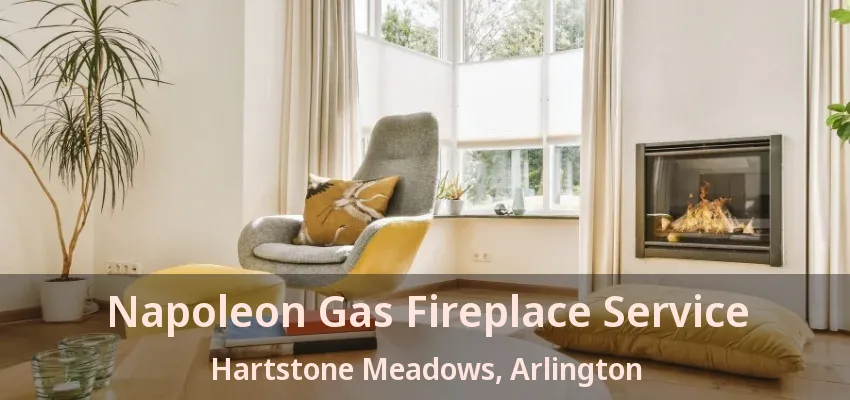 Napoleon Gas Fireplace Service Hartstone Meadows, Arlington - TX Napoleon Gas Fireplace Service Hartstone Meadows, Arlington - TX