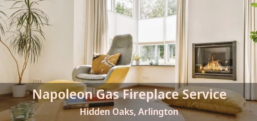 Napoleon Gas Fireplace Service Hidden Oaks, Arlington - TX Napoleon Gas Fireplace Service Hidden Oaks, Arlington - TX