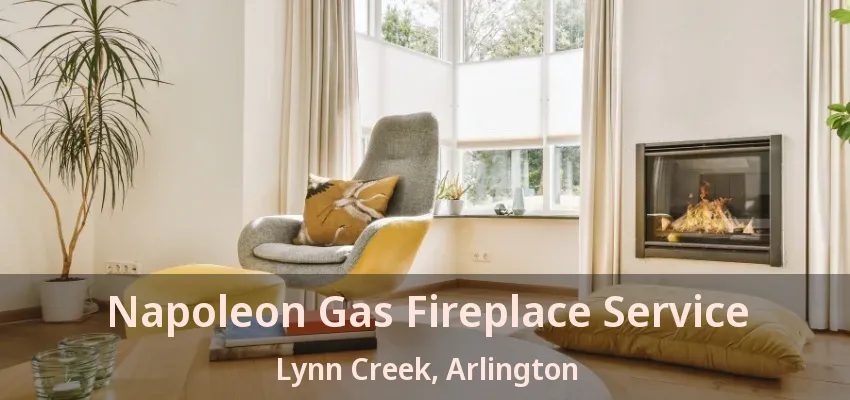 Napoleon Gas Fireplace Service Lynn Creek, Arlington - TX