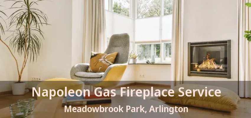 Napoleon Gas Fireplace Service Meadowbrook Park, Arlington - TX Napoleon Gas Fireplace Service Meadowbrook Park, Arlington - TX