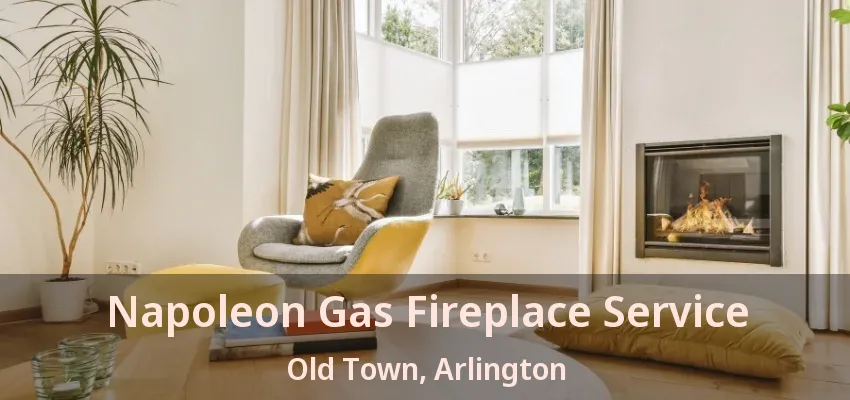 Napoleon Gas Fireplace Service Old Town, Arlington - TX Napoleon Gas Fireplace Service Old Town, Arlington - TX