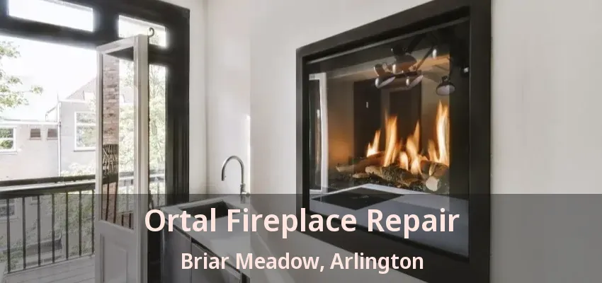Ortal Fireplace Repair Briar Meadow, Arlington - TX