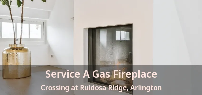 Service A Gas Fireplace Crossing at Ruidosa Ridge, Arlington - TX