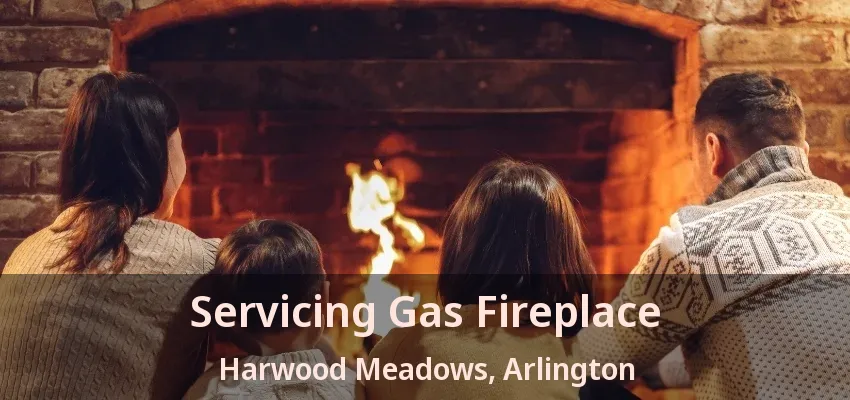 Servicing Gas Fireplace Harwood Meadows, Arlington - TX