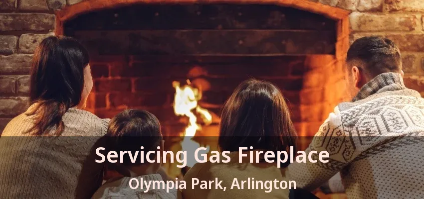 Servicing Gas Fireplace Olympia Park, Arlington - TX