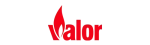 Valor Gas Fireplace Cleaning in Arlington